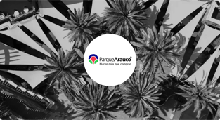 Caso de éxito de Parque Arauco - Intiza