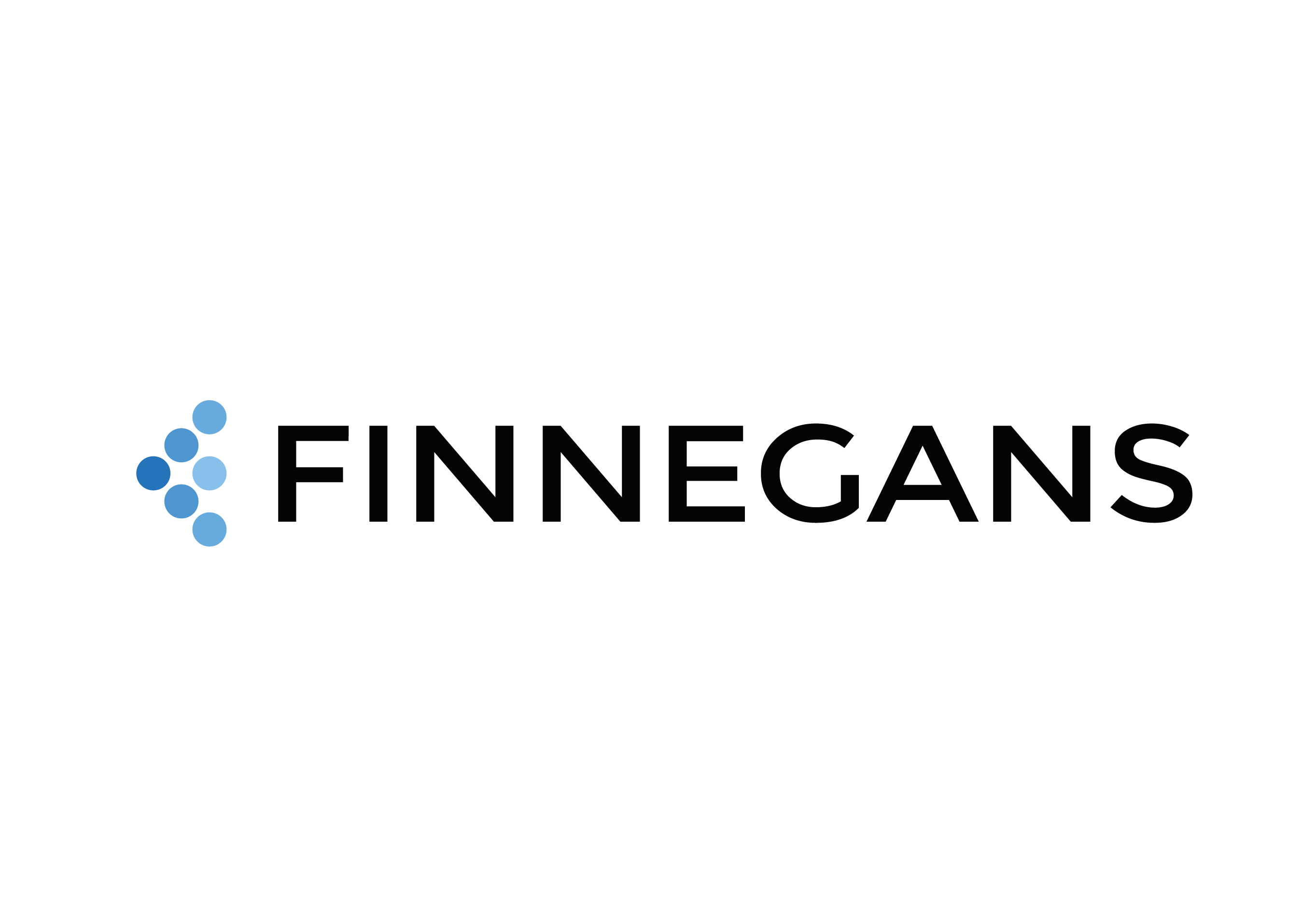 Logo Finnegans 2